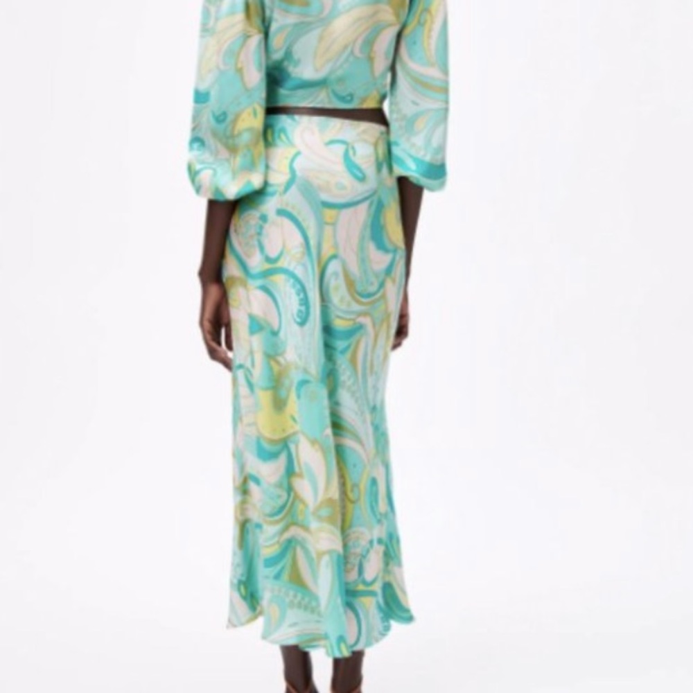 Zara Printed Paisley Midi Skirt - XS